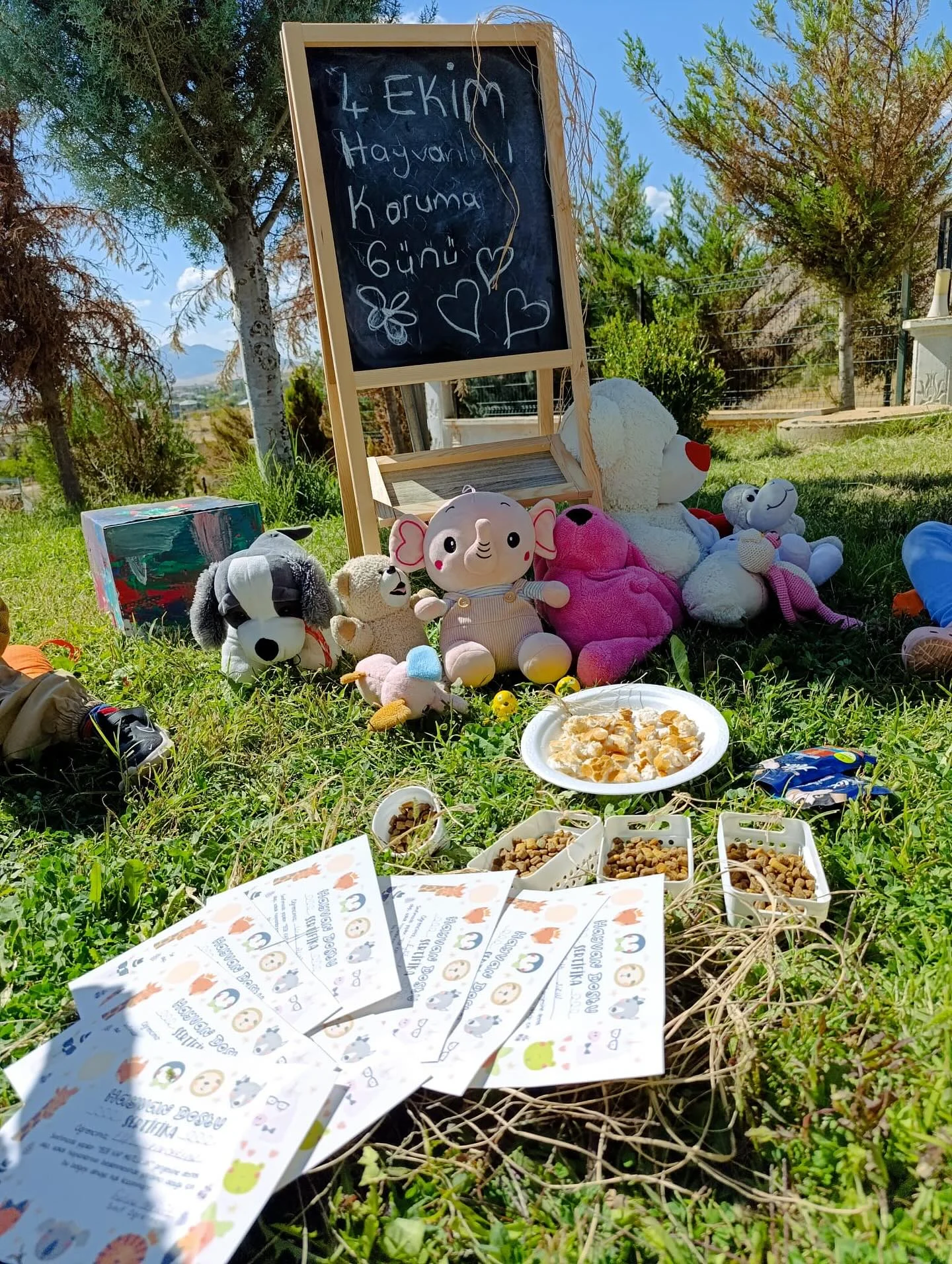 4 Ekim Hayvanları Koruma Günü